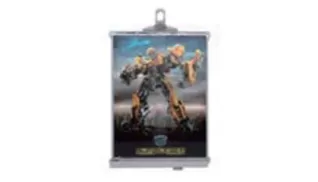 F6556 DVD FRAME SAFER SLS